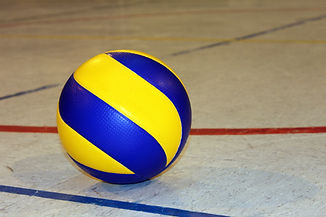 voleibol