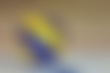 Minnesota State High School League Adds Boys Volleyball