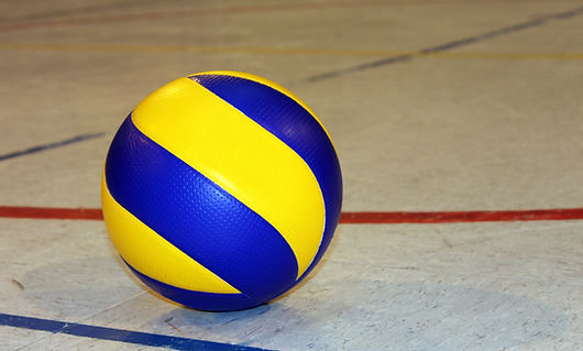 Volleyball