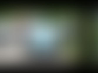 Street Sweeping Starts April 1st