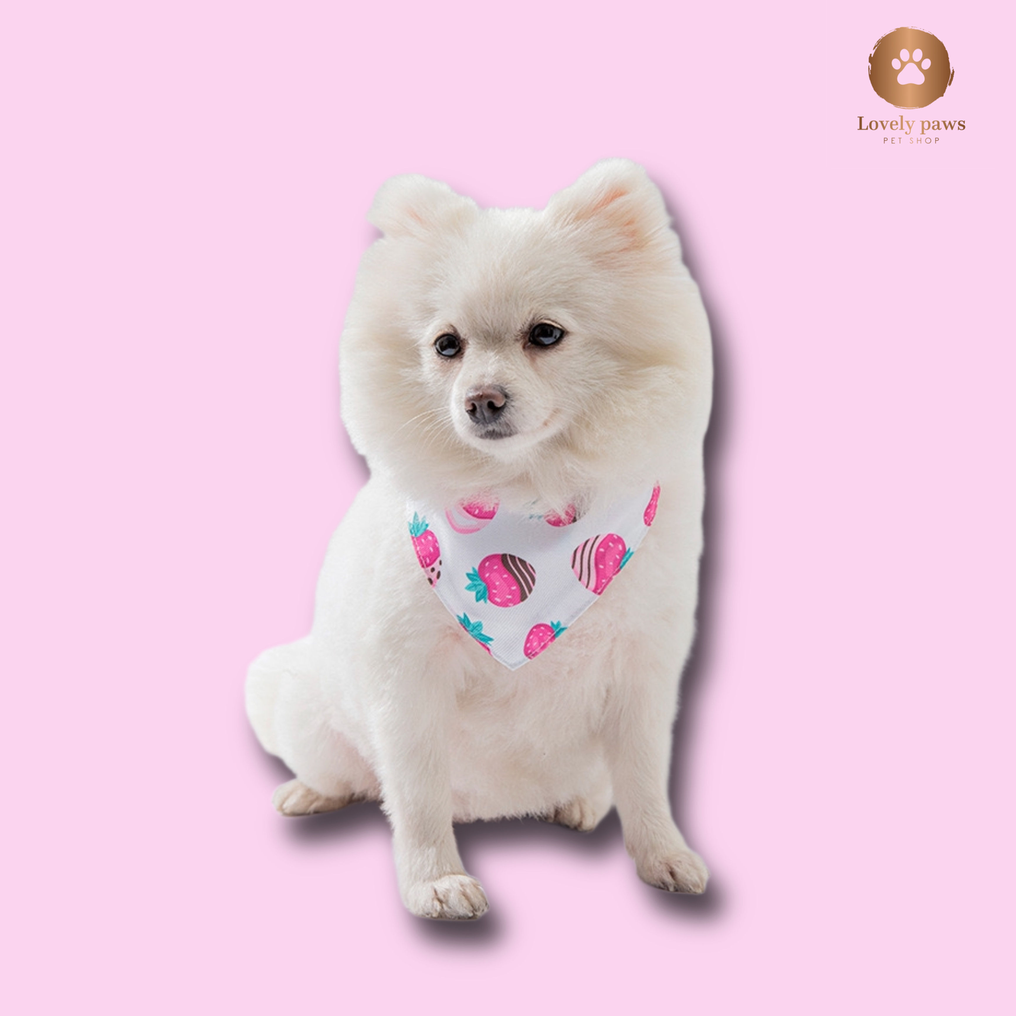 PET COLLAR WITH A SQUARE SCARF