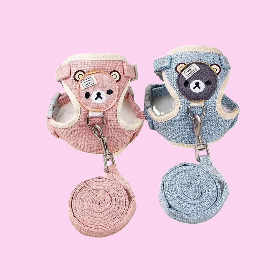 CUTE SMALL PET HARNESS AND LEASH