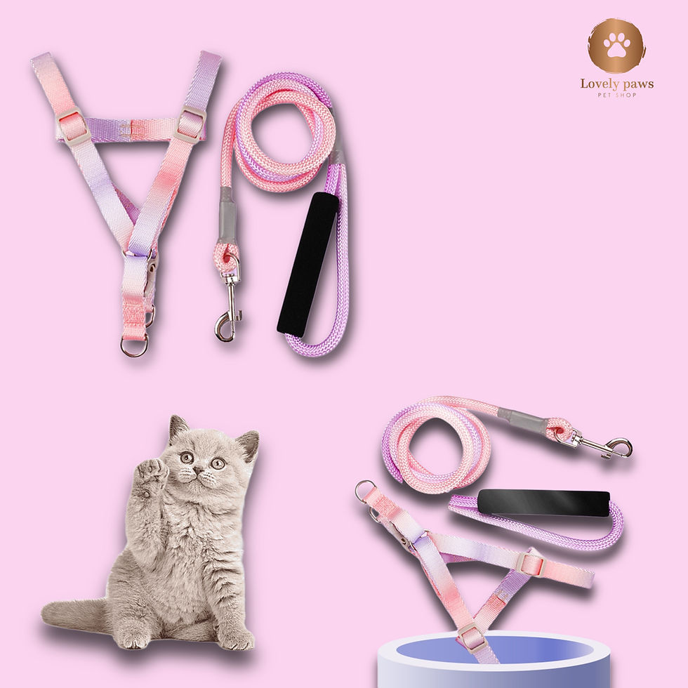 Thumbnail: PET SET HARNESS AND LEASH