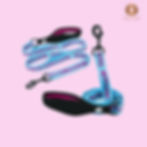 DOG LEASH