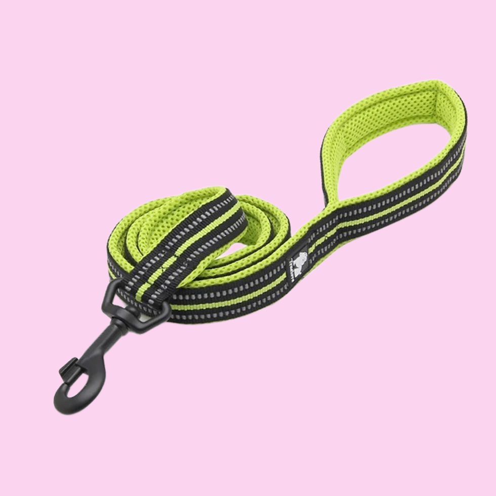 DOG LEASH