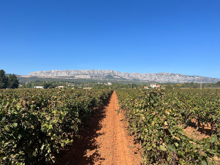 Visit of Domaine Terre de Mistral in Rousset, Provence