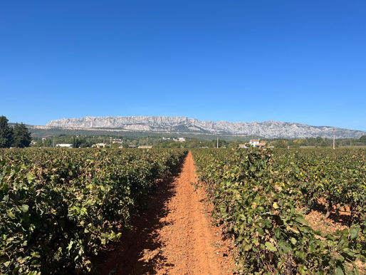 Visit of Domaine Terre de Mistral in Rousset, Provence
