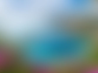 Excursions around Aix-en-Provence: my ideas for places to visit in Provence during your immersion stay