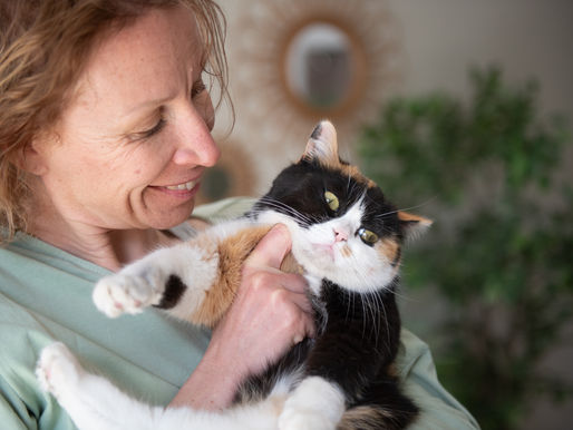 Yoga en automne : postures à pratiquer et vocabulaire en français