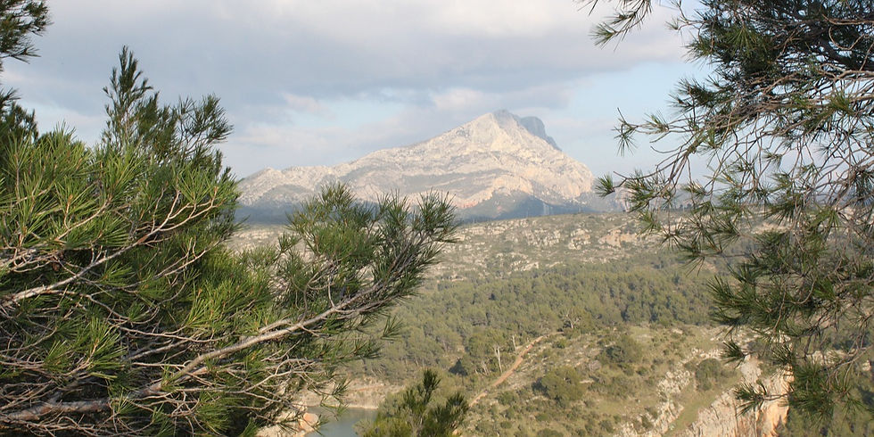 Sainte-Victoire mountain seen through pine trees in the Provençal landscape