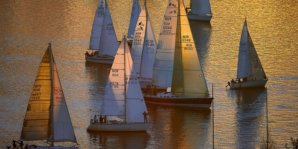 Plusieurs voiliers naviguant ensemble sur une mer calme au coucher du soleil