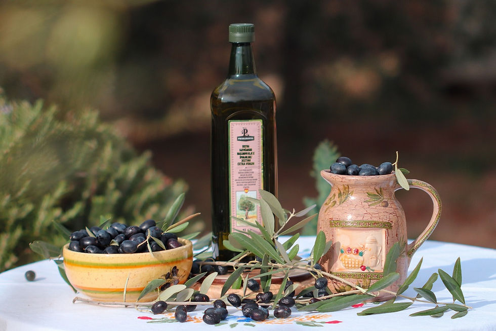 Discovery of the life cycle of olives in Provence with Virginie en Provence