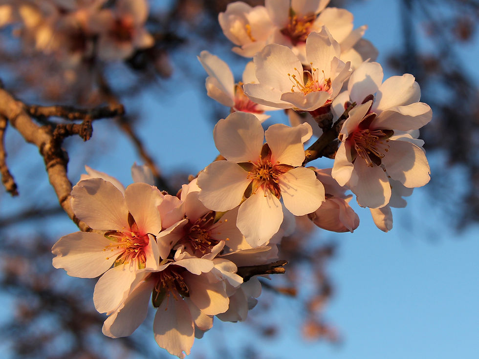 The highlights of winter in Provence: immersion and discovery