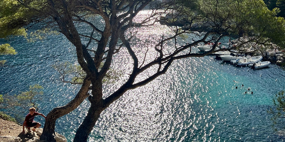 Vue depuis les hauteurs de la Calanque de Sormiou avec la mer, les pins, les baigneurs et de petits bateaux près du rivage