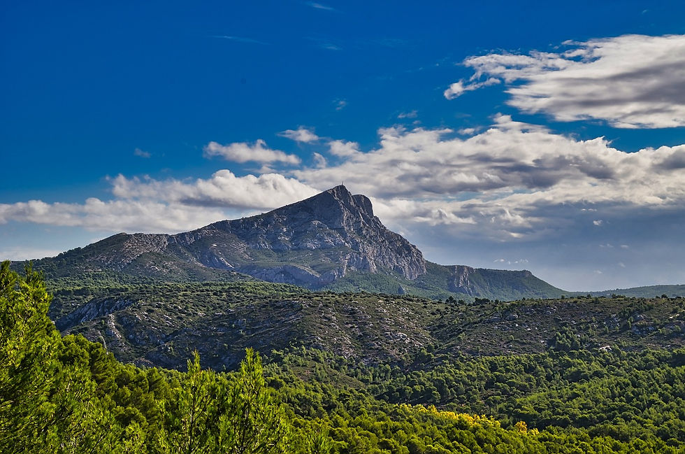 The essentials of winter in Provence: immersion and discovery