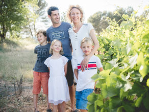 Vignobles au pied de la Montagne Sainte-Victoire en Provence - Virginie In Provence