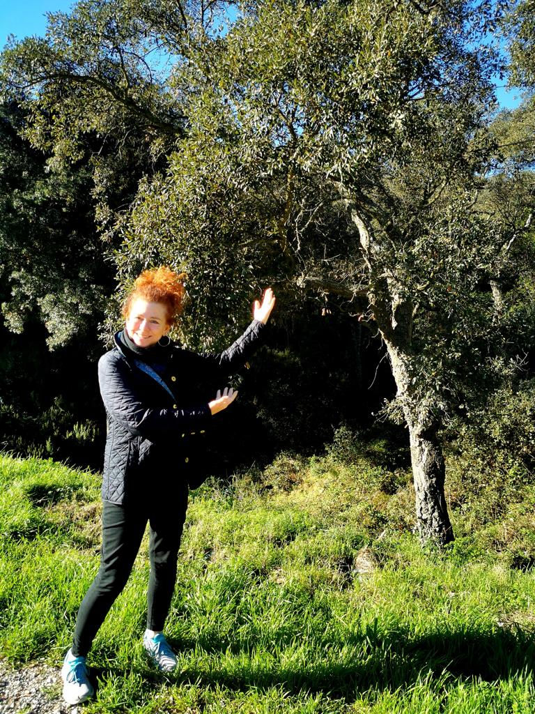 La route du Mimosa : un incontournable en Provence en hiver