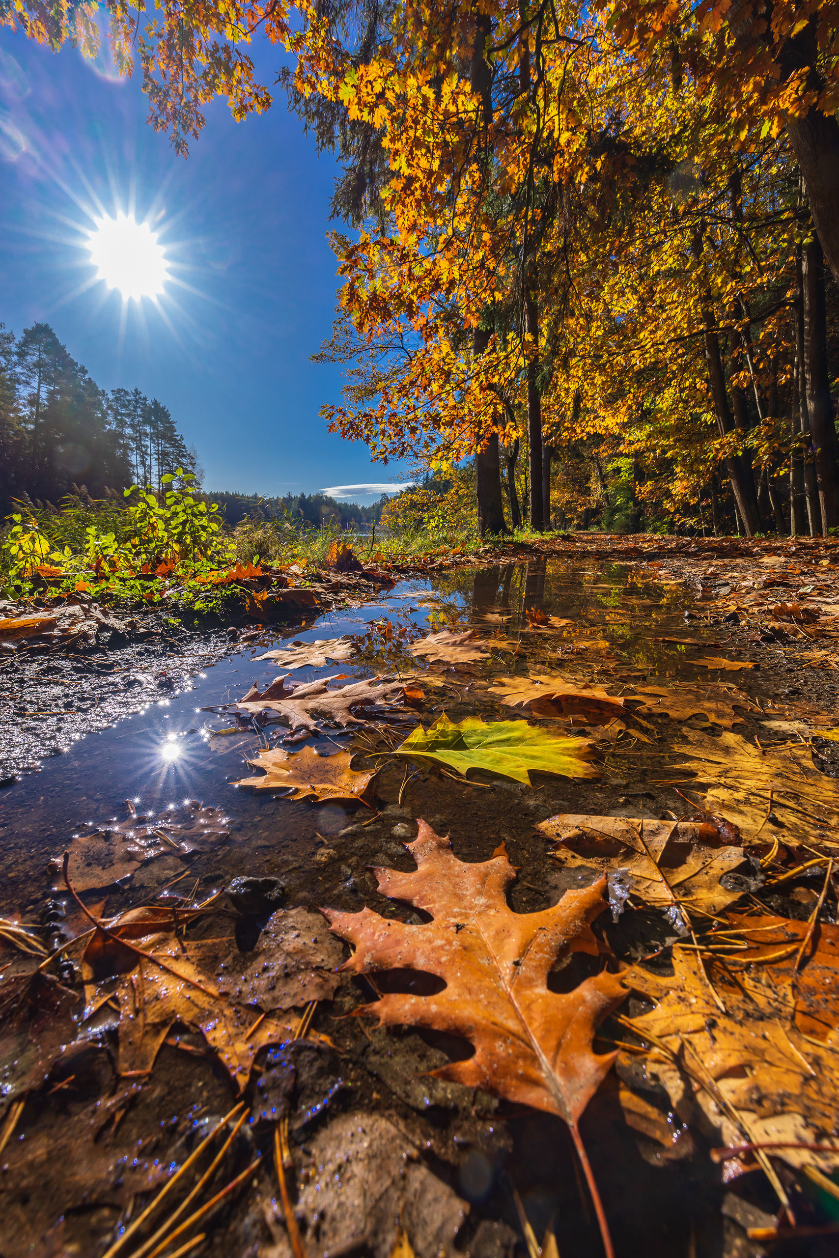 Fotoobraz Podzim v Jižních Čechách