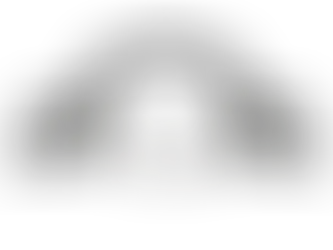 JL/JT STINGER PUSH BAR