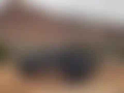 JT CHASE/SPORT BAR BED RACK