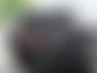 GRILLE GUARD ("X" HOOP)