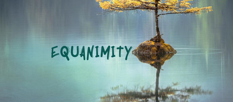 Equanimity