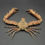 Thumbnail: Filled Parthenope validus crab taxidermy natural color