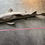Thumbnail: White tip reef shark Triaenodon obesus