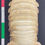Thumbnail: Large Size 43 CM Deep-sea Giant Isopod Bathynomus giganteus
