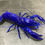 Thumbnail: Museum Quality repainted blue Marron crayfish taxidermy in natural posture 
