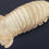 Thumbnail: Large Size 43 CM Deep-sea Giant Isopod Bathynomus giganteus