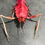 Thumbnail: Rare repainted deep sea purple paper lobster taxidermy large (reserved)