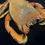 Thumbnail: Very Large Tiger Crab Taxidermy Ranina ranina