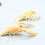 Thumbnail: Procambarus clarkii Golden Koi crayfish taxidermy Pair