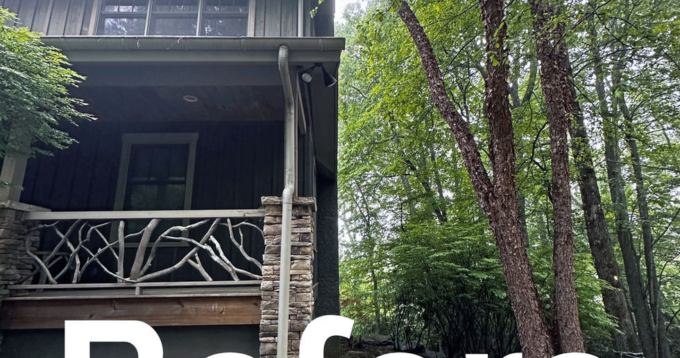 Professional Tree Trimming by professional arborists in Asheville, NC