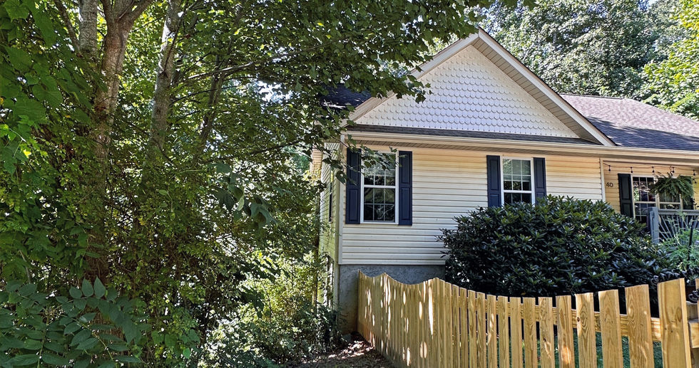 tree trimming Asheville NC by insured arborist