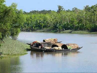 Bangladesh 2024 pt. 7: The Beginning of the End