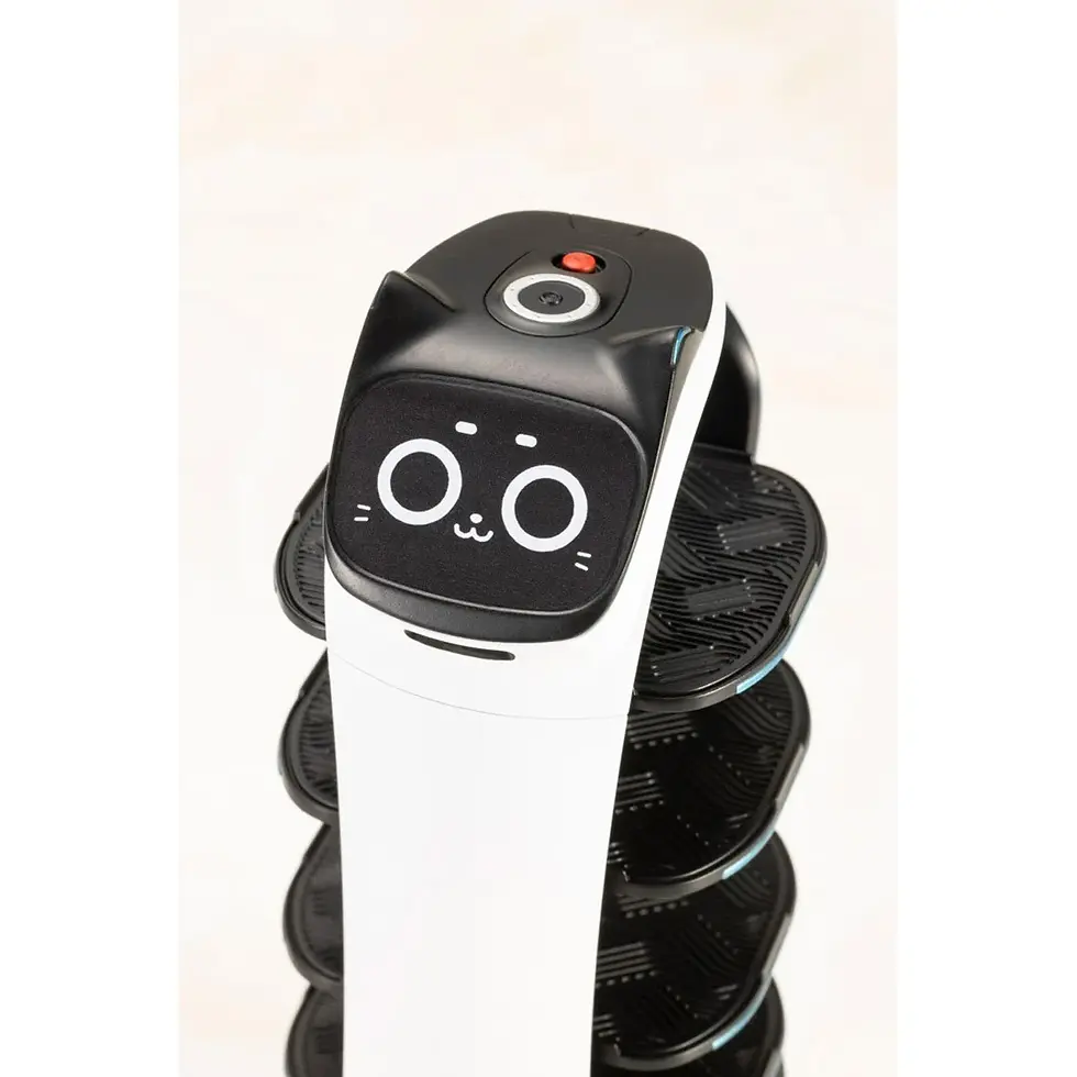 Thumbnail: White and black robot with cat face on top, button and circles.