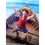 Thumbnail: One Piece Monkey D. Luffy Romance Dawn S.H.Figuarts Action Figure