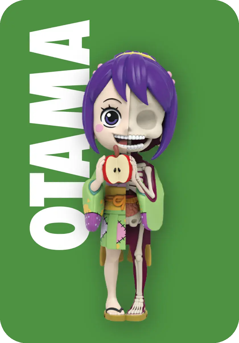 Thumbnail: Otama figure with visible skeleton holding an apple MIGHTY JAXX FREENY’S HIDDEN DISSECTIBLES.