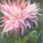 fullsizeoutput_25c7