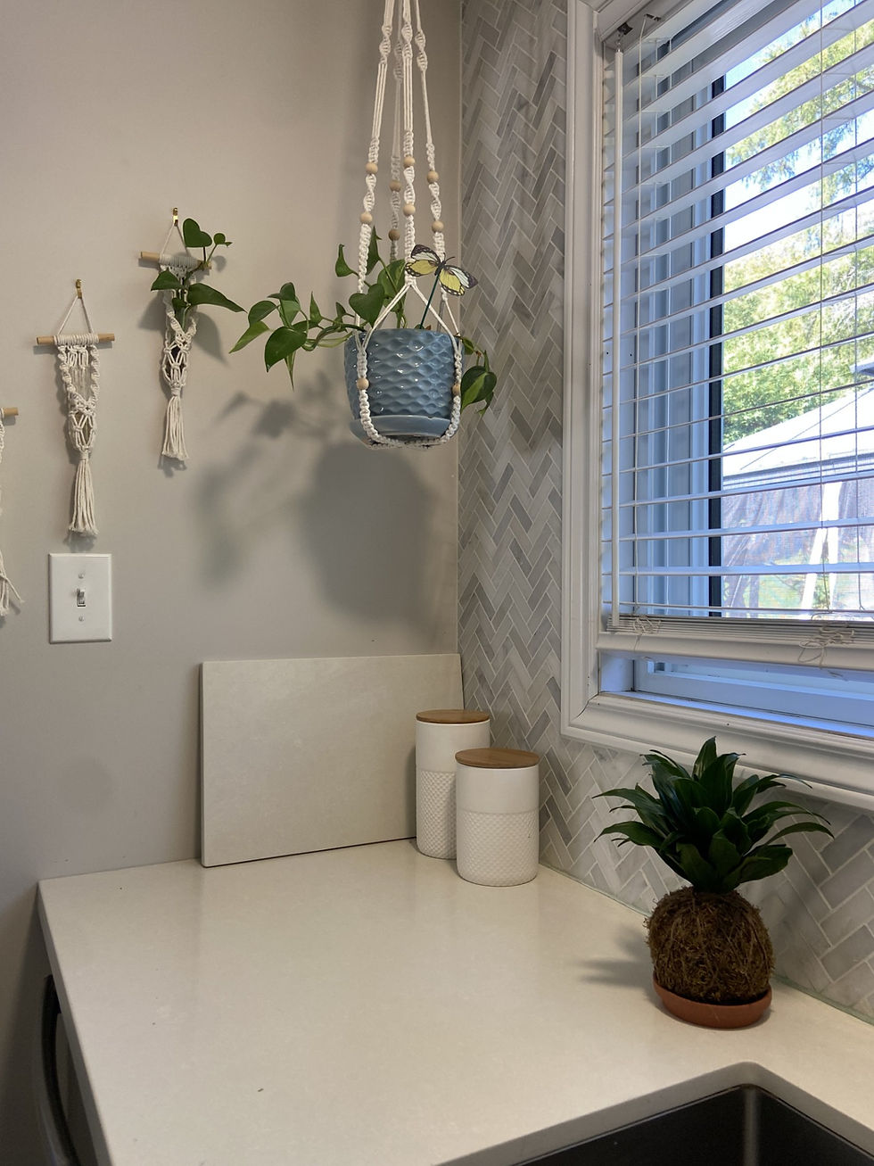 Thumbnail: Dracaena kokedama with upright, sculptural green leaves, handcrafted in natural moss and twine, styled in soft natural light.
