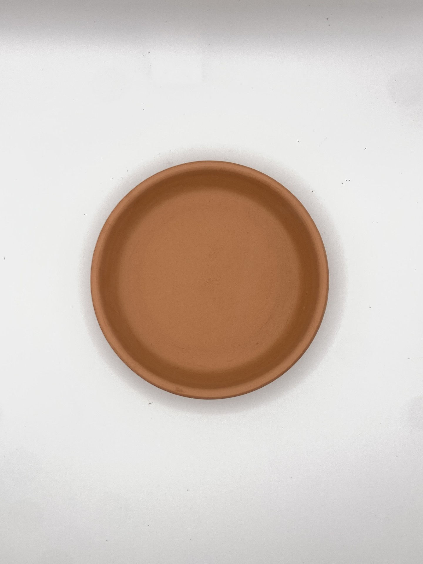 Terracotta dish with warm, earthy tones and a smooth, handcrafted finish, styled in soft natural light.