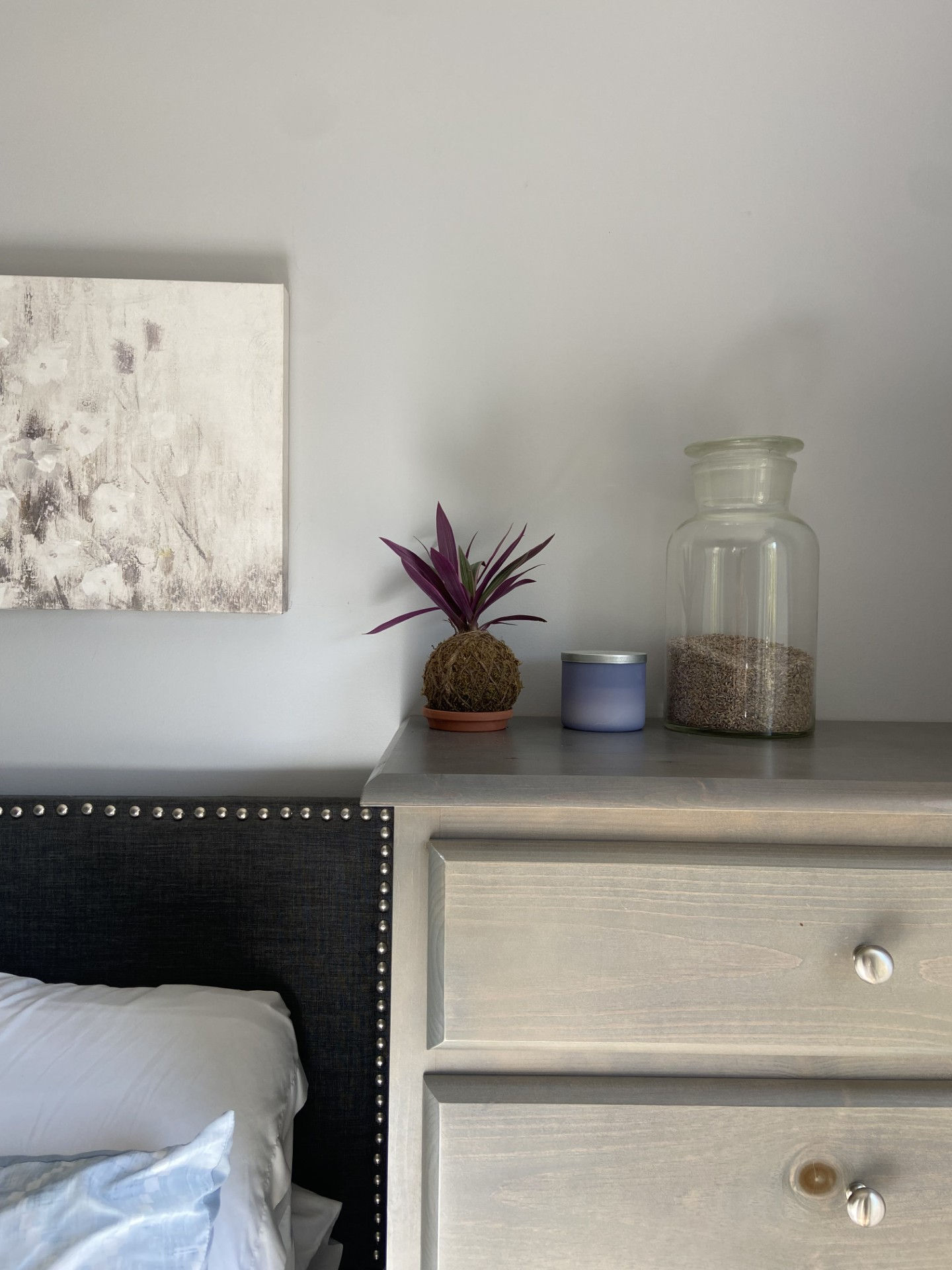 Rhoeo kokedama with vibrant, purple-and-green variegated leaves, handcrafted in natural moss and twine.