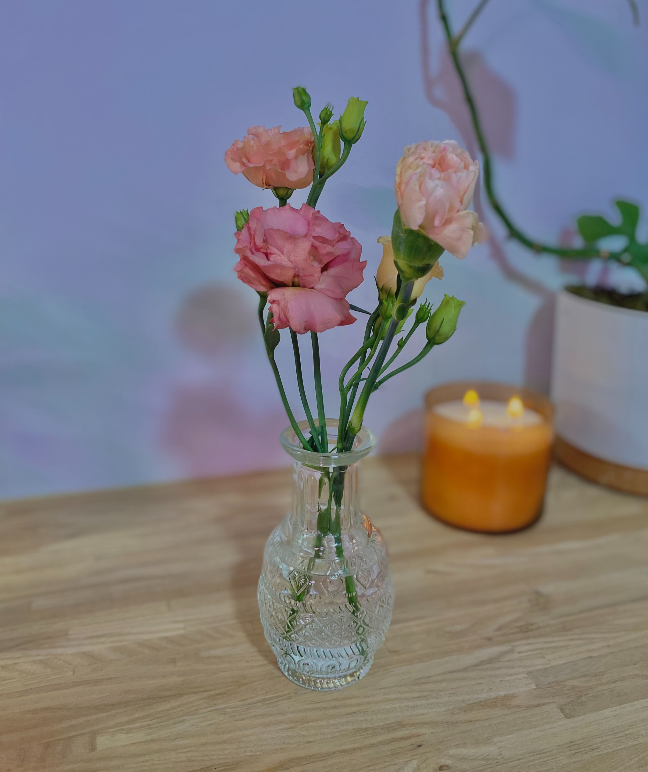 Bachelors button, Zinnias, Cosmos