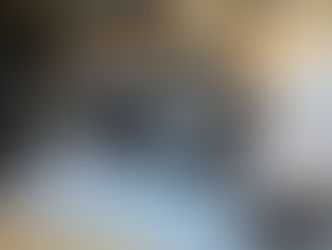 A Pandemic Flashback & The Promise of a Christmas Tree … From Florida