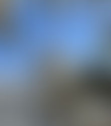 Of the December Dump