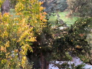 Of procrastination and rationalization