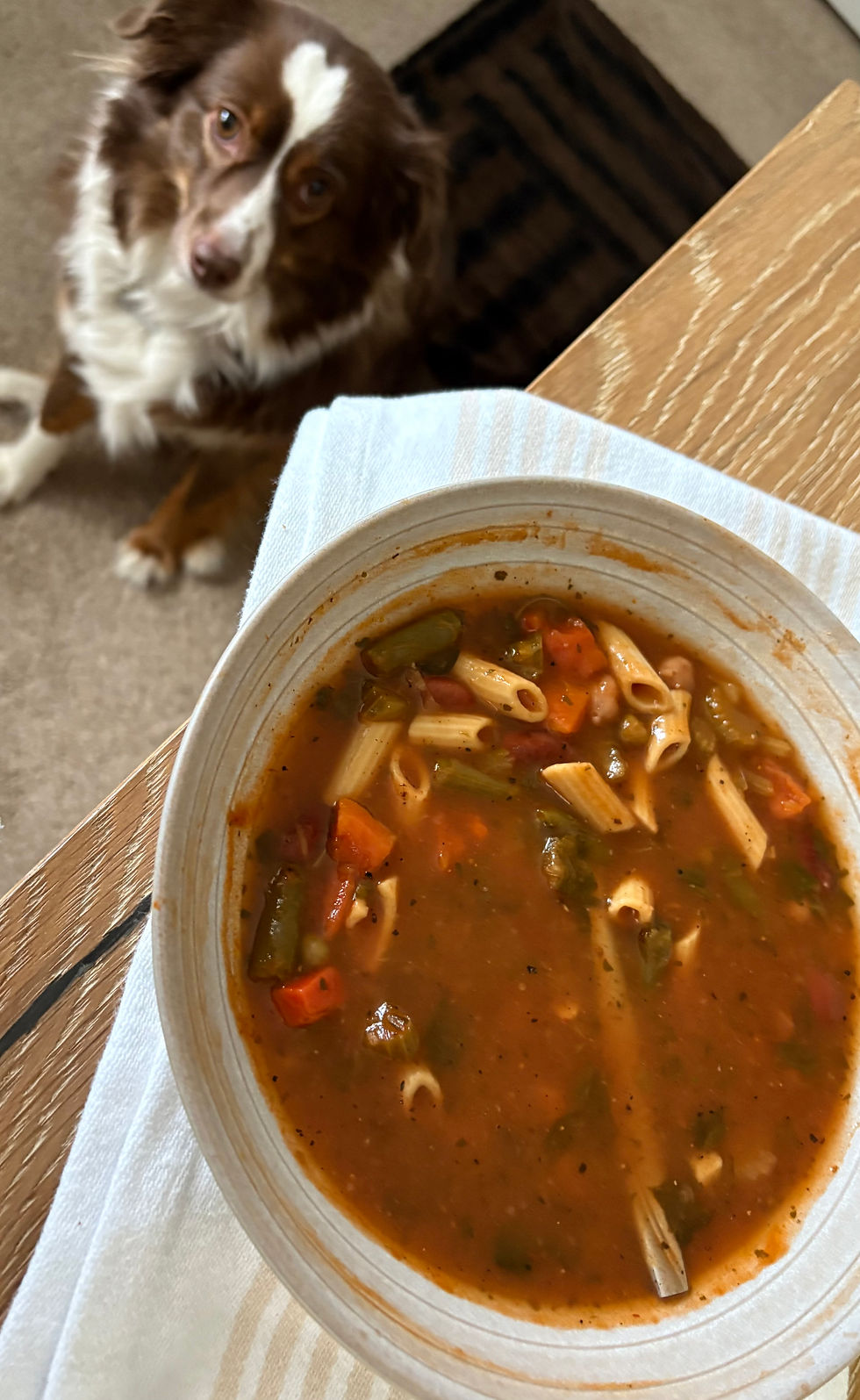 Metaphor for my life: It was 3 degrees when I walked the dogs this morning. So, soup for breakfast sounded appropriate. Walking up the stairs with a hot soup bowl and two rambunctious little dogs in tow yielded this result. Not a true hardship, I agree.