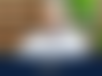 Kent McKeever has been recognized as 2023-2024 Distinguished Practitioner in Residence